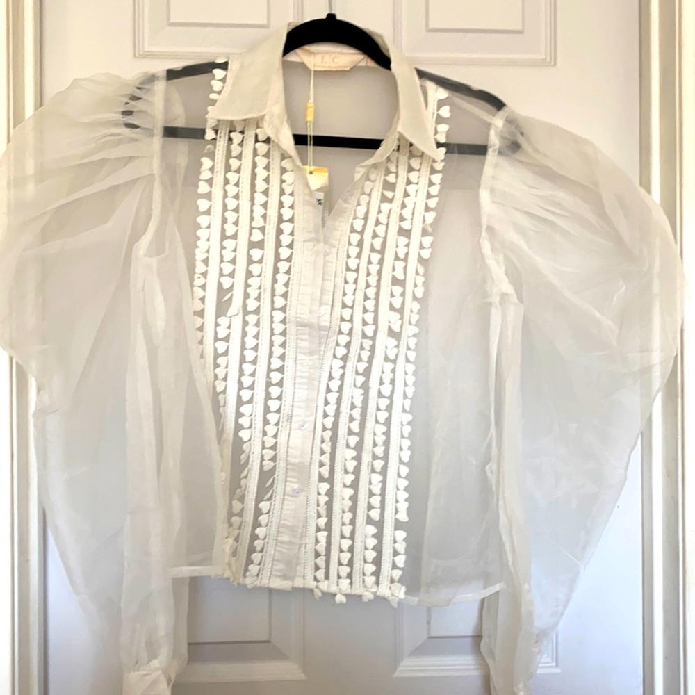 Organza blouse